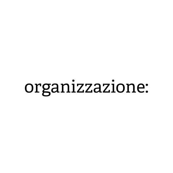 Organizzazione